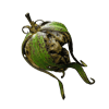 rotten thaen fruit quest item remnant2 wiki guide 100px