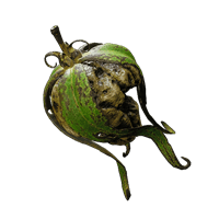 rotten thaen fruit quest item remnant2 wiki guide 200px